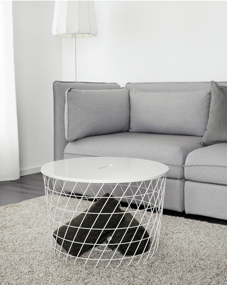 Muscle Love Crop Tank